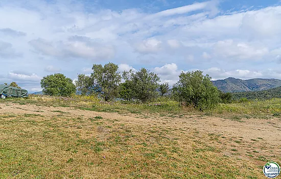 Chalet pareado en venta en Calle Joan Timoneda