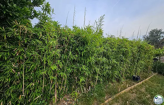 Rural plot for sale in Hostalets de LLers