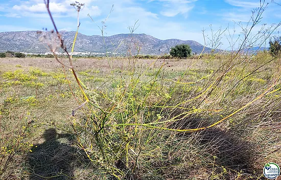 Land in Torroella de Fluvià.