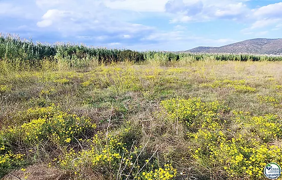 Land in Torroella de Fluvià.