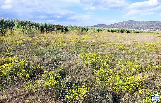 Land in Torroella de Fluvià.
