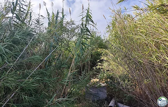 Land in Torroella de Fluvià.