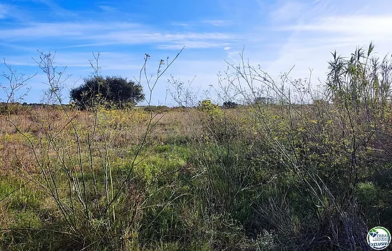 Land in Torroella de Fluvià.