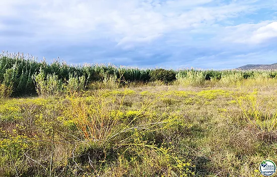 Land in Torroella de Fluvià.
