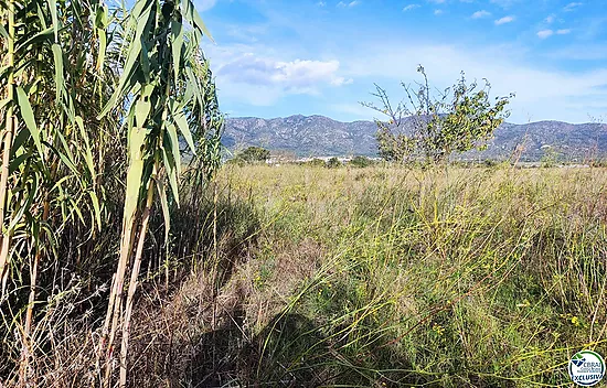 Land in Torroella de Fluvià.