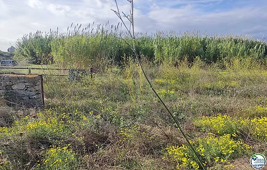 Land in Torroella de Fluvià.