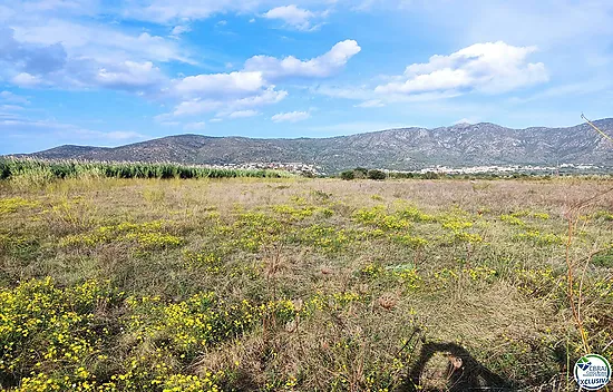 Land in Torroella de Fluvià.