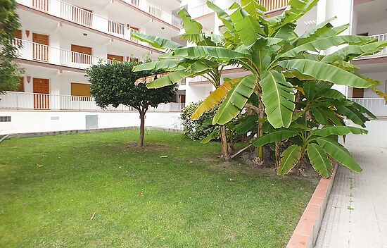 2 bedroom apartment located 100 meters from the beach