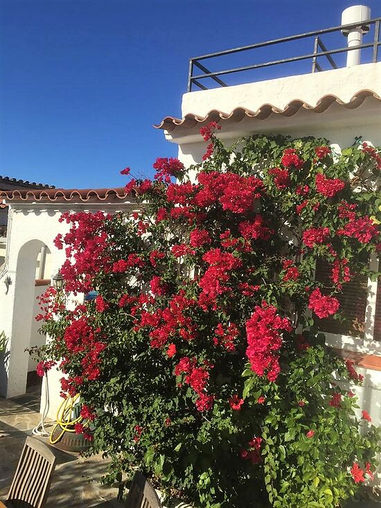 MAISON REZ-DE-CHAUSSÉE AVEC UN TERRAIN DE 460 M2 À MAS BOSCÀ