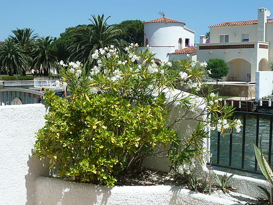 Maison type pêcheurs 4 chambres avec vue sur le port de plaisance et wifi à louer à empuriabrava